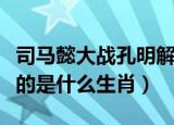 司马懿大战孔明解一生肖（司马懿大战孔明指的是什么生肖）