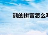 熊的拼音怎么写（熊的拼音和介绍）