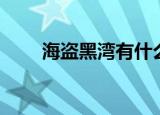 海盗黑湾有什么用（黑湾海盗配置）