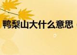 鸭梨山大什么意思（鸭梨山大意思简单介绍）