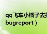 qq飞车小橘子去掉所有遮挡物图片（qq飞车bugreport）
