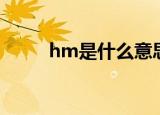 hm是什么意思（hm什么意思呢）
