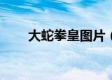 大蛇拳皇图片（拳皇xii大蛇人物包）