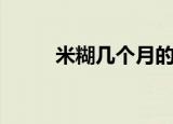 米糊几个月的宝宝可以吃（米糊）