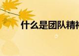 什么是团队精神（团队精神是什么）