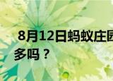 8月12日蚂蚁庄园问题 白头发会越拔长得越多吗？