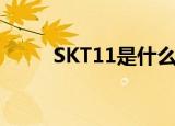 SKT11是什么材质的材料（skt1）