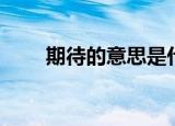 期待的意思是什么（期待怎么理解）