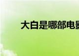 大白是哪部电影（大白是什么电影）