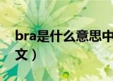 bra是什么意思中文翻译（bra是什么意思中文）