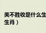 美不胜收是什么生肖打一肖（美不胜收是什么生肖）