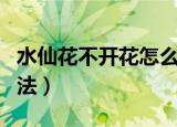 水仙花不开花怎么办（水仙花不开花的解决方法）