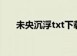 未央沉浮txt下载全本（未央沉浮txt）