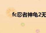 fc忍者神龟2无敌版（fc忍者神龟2）