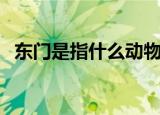 东门是指什么动物（北门南牙是什么动物）