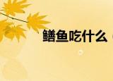 鳝鱼吃什么（鳝鱼吃什么食物）