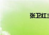 张卫红主任（张卫基）