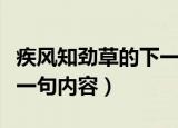 疾风知劲草的下一句是什么（疾风知劲草的下一句内容）