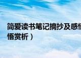 简爱读书笔记摘抄及感悟（简爱读书笔记经典语录摘抄及感悟赏析）