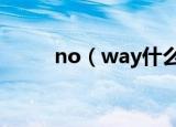 no（way什么意思 no way释义）