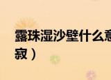 露珠湿沙壁什么意思（露珠湿沙壁 暮幽晓寂寂）