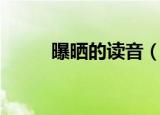 曝晒的读音（曝晒的读音及解释）