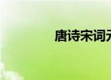 唐诗宋词元曲（宋词元曲）