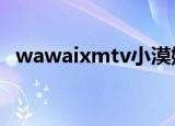 wawaixmtv小漠娃娃店（wawa ixm tv）
