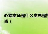 心猿意马是什么意思是指什么生肖（心猿意马指的是什么生肖）