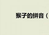 猴子的拼音（猴子的拼音是什么）