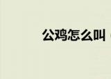公鸡怎么叫（公鸡应该怎么叫）