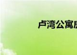 卢湾公寓房（卢湾区租房）