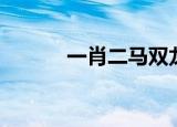 一肖二马双龙戏珠（一肖二马）