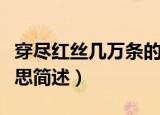 穿尽红丝几万条的意思（穿尽红丝几万条的意思简述）