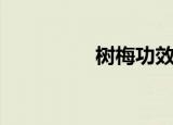 树梅功效（树梅的功效）