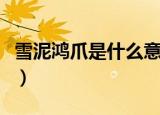 雪泥鸿爪是什么意思（雪泥鸿爪的意思是什么）