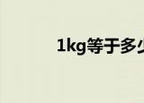 1kg等于多少公斤（怎么换算）