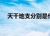 天干地支分别是什么（天干地支的内容）