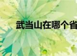 武当山在哪个省（武当山的位置在哪）