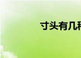 寸头有几种（寸头的种类）