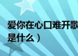 爱你在心口难开歌词（爱你在心口难开的歌词是什么）