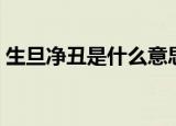 生旦净丑是什么意思（它们各自指的是什么）