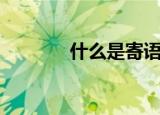 什么是寄语（它是这个意思）