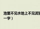 池里不见水地上不见泥猜一字谜（池里不见水地上不见泥猜一字）