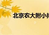 北京农大附小排名（北京农大附小）