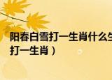 阳春白雪打一生肖什么生肖跳梁小丑是什么生肖（阳春白雪打一生肖）
