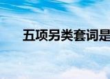 五项另类套词是什么（五项另类套词）