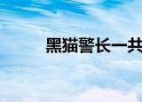黑猫警长一共几集（童年的回忆）