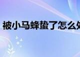 被小马蜂蛰了怎么处理（马蜂蛰了怎么处理）