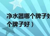 净水器哪个牌子好 最新十大排名（净水器哪个牌子好）